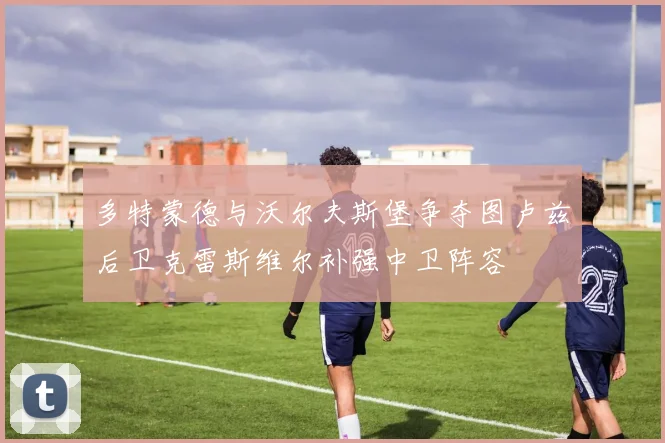 多特蒙德与沃尔夫斯堡争夺图卢兹后卫克雷斯维尔补强中卫阵容