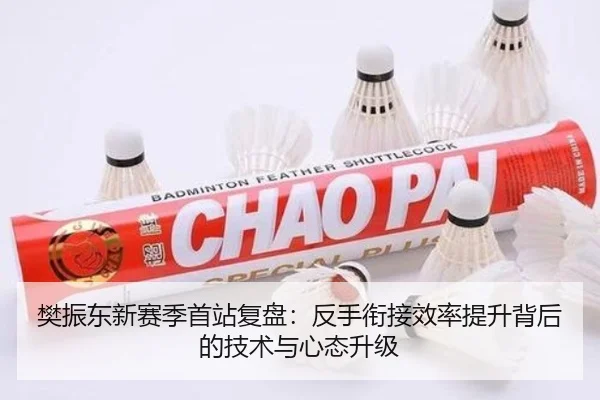 樊振东新赛季首站复盘：反手衔接效率提升背后的技术与心态升级 - hth